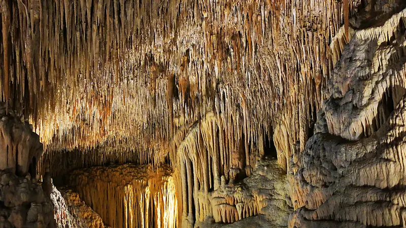 Dichter Vorhang feiner Stalaktiten an der Decke der Cuevas del Drach auf Mallorca