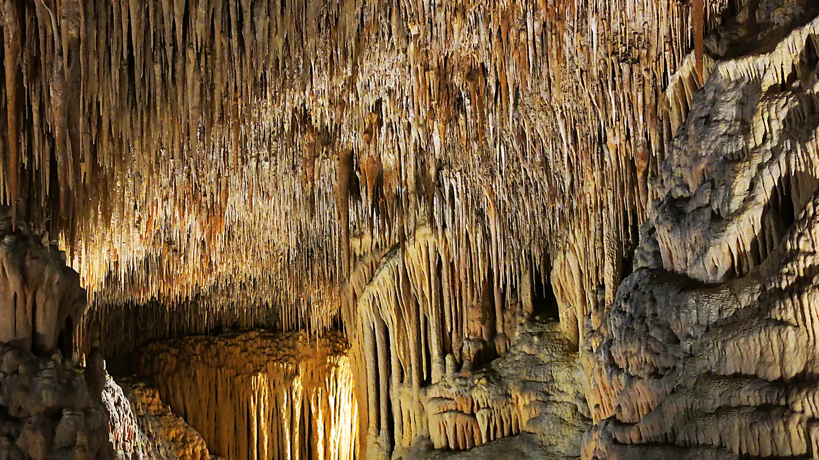 Dichter Vorhang feiner Stalaktiten an der Decke der Cuevas del Drach auf Mallorca