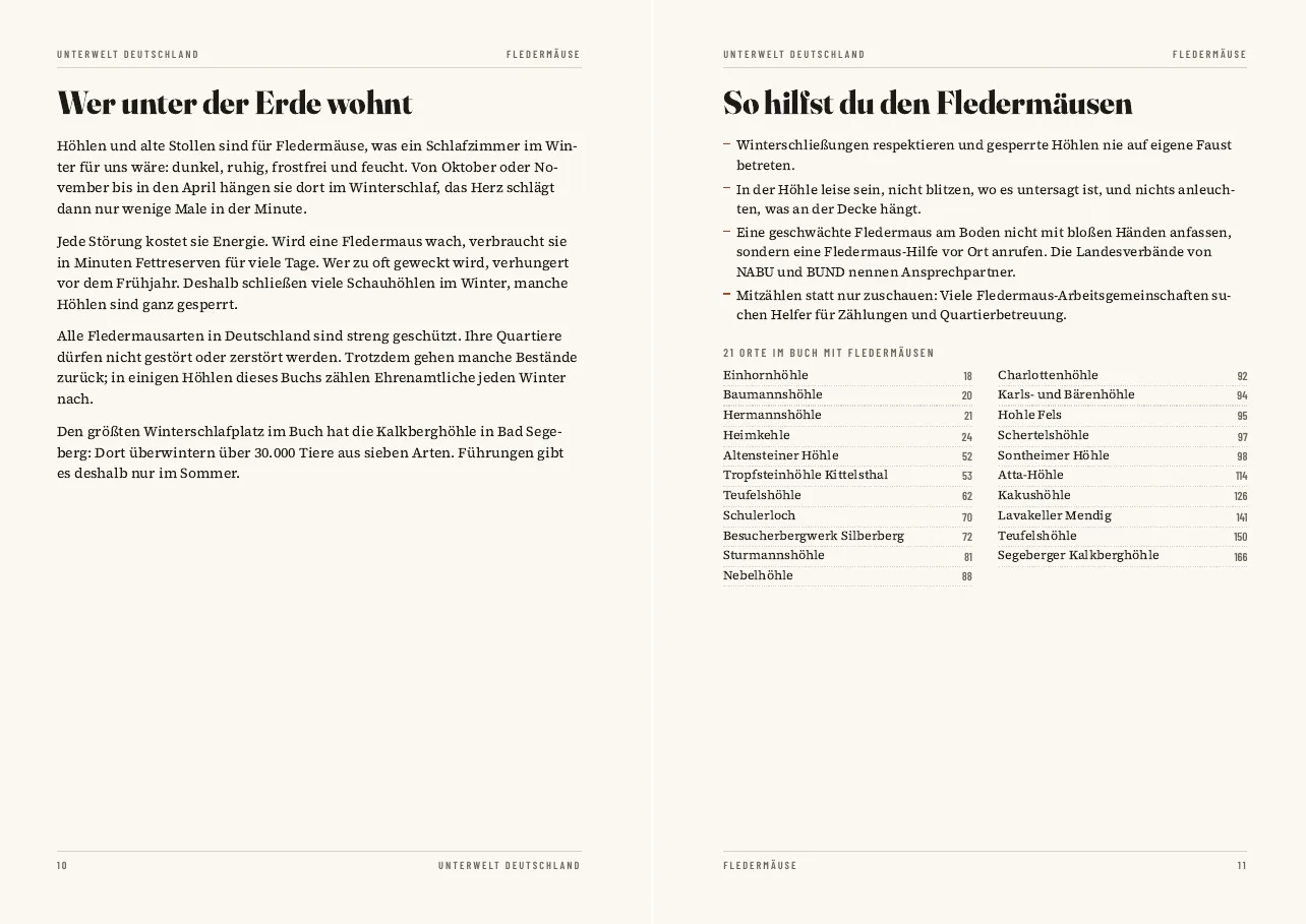 Seiten über Fledermäuse in Höhlen und Stollen im PDF-Reiseführer Unterwelt Deutschland